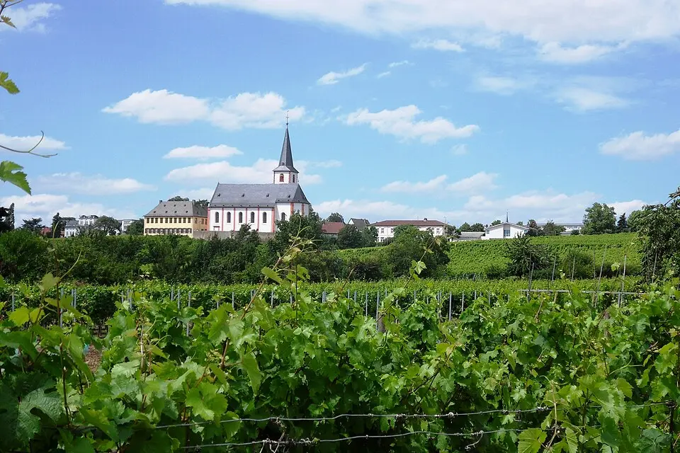 Hochheim am Main – Stadtansicht